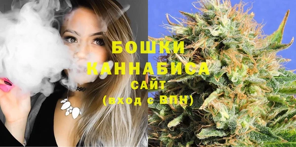 ПСИЛОЦИБИНОВЫЕ ГРИБЫ Баксан