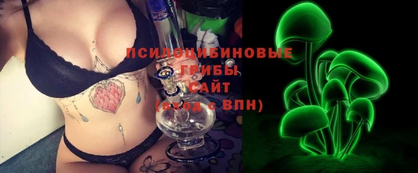 ПСИЛОЦИБИНОВЫЕ ГРИБЫ Баксан