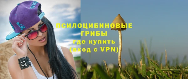 ПСИЛОЦИБИНОВЫЕ ГРИБЫ Баксан