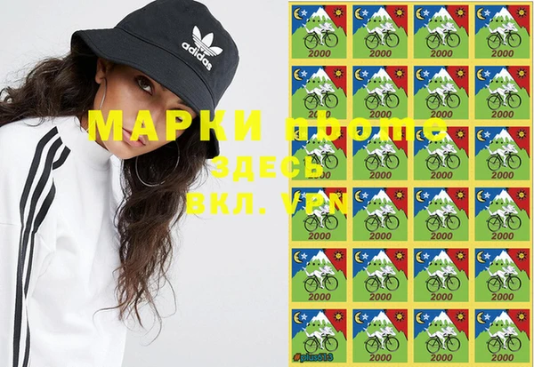ПСИЛОЦИБИНОВЫЕ ГРИБЫ Баксан