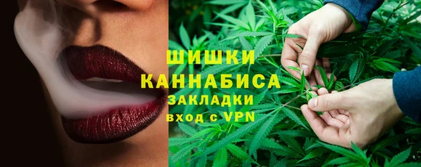 ПСИЛОЦИБИНОВЫЕ ГРИБЫ Баксан