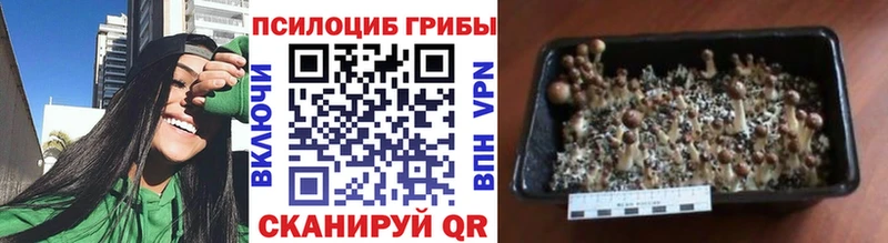Галлюциногенные грибы Cubensis  Красноуфимск 